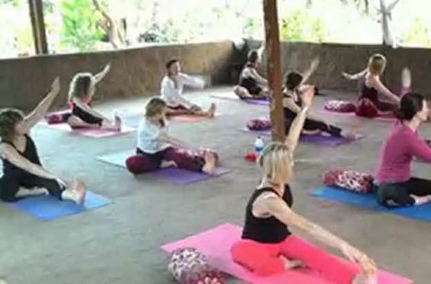 Banyan Tree Yoga