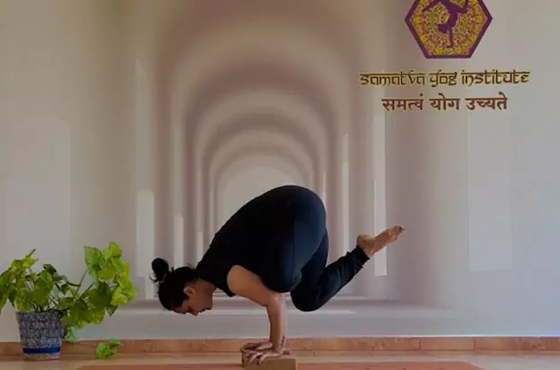 Samatva Yog Institute Images